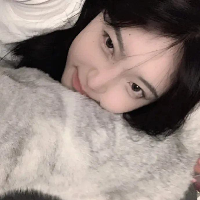 美好的追寻