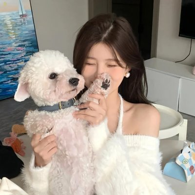 追星星的人