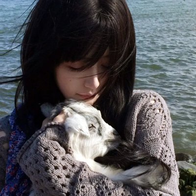惊笑好莱坞